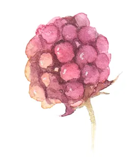 花卉
