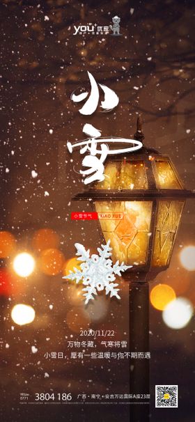 地产小雪节气海报