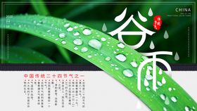 简约大气二十四节气谷雨海报