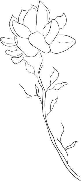 森系花卉