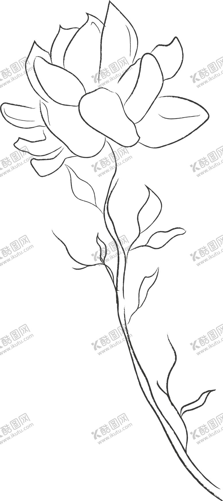 编号：73946805020641193487【酷图网】源文件下载-森系花卉