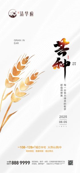 芒种海报