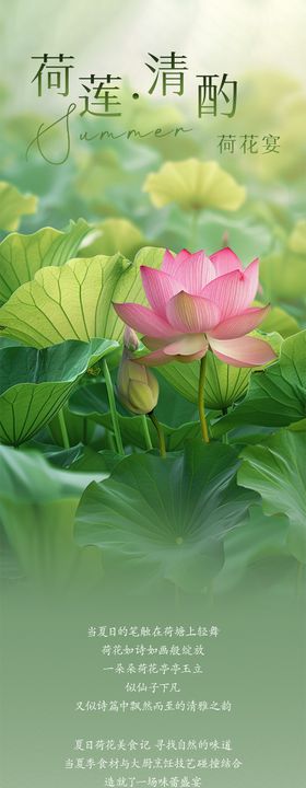 荷花宴推文