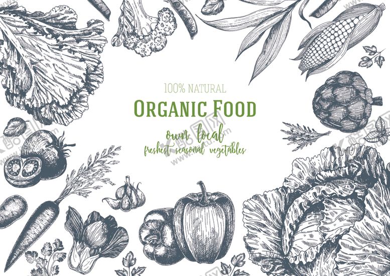 编号：84558309232037014348【酷图网】源文件下载-蔬菜