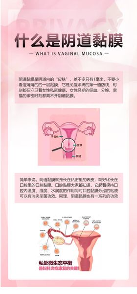私密科普知识海报