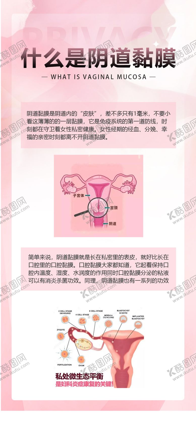 编号：60713608251616527663【酷图网】源文件下载-私密科普知识海报