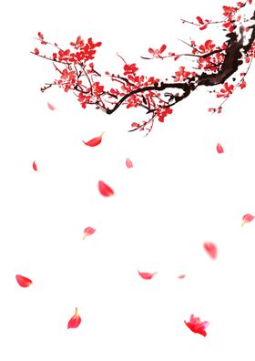 飘落的花瓣