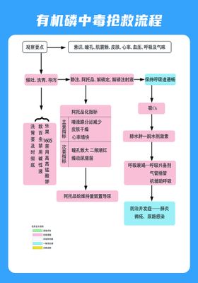 编号：07512910010556329087【酷图网】源文件下载-有机磷中毒抢救流程