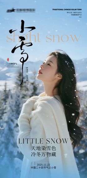 美业仪器小雪节气海报