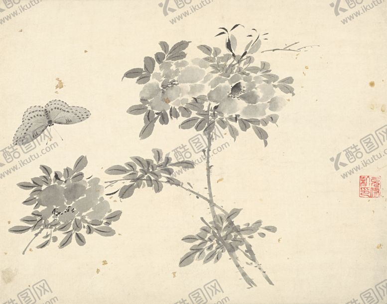 编号：42224106240037434345【酷图网】源文件下载-植物花朵工笔画