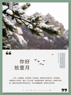十二月你好