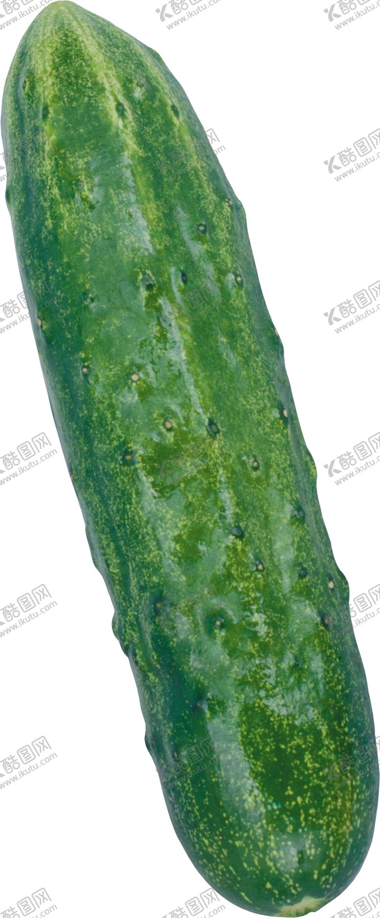 编号：15619705041747057116【酷图网】源文件下载-黄瓜