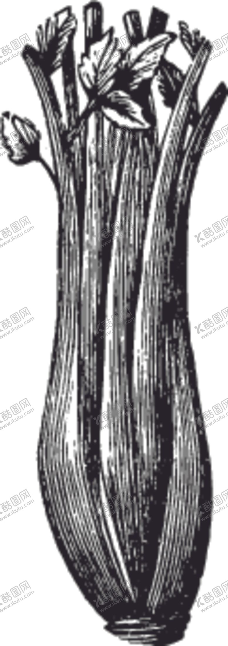 编号：15756510041600297264【酷图网】源文件下载-素描手绘蔬菜