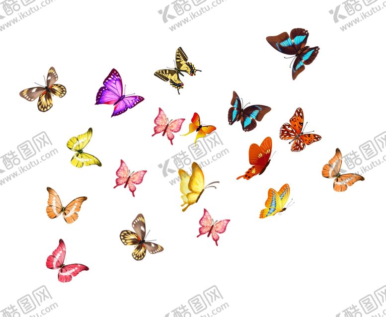 编号：23142910281232009569【酷图网】源文件下载-蝴蝶