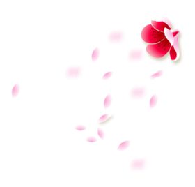 手绘粉色樱花免扣素材图片