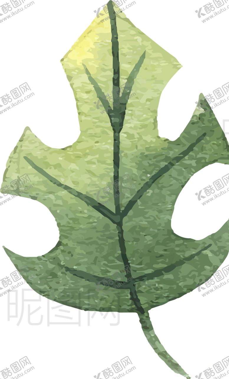 编号：27484504282049549244【酷图网】源文件下载-树叶