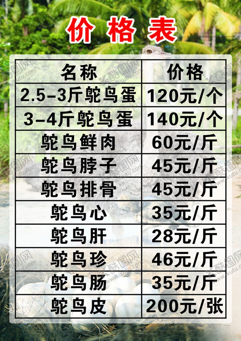 编号：50962501130506255009【酷图网】源文件下载-鸵鸟价目表