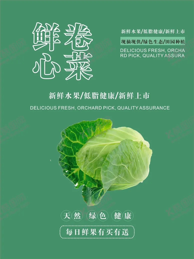 编号：53267010162250543370【酷图网】源文件下载-卷心菜海