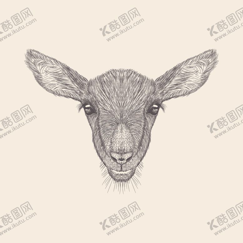 编号：85706006241304446353【酷图网】源文件下载-动物铅笔画