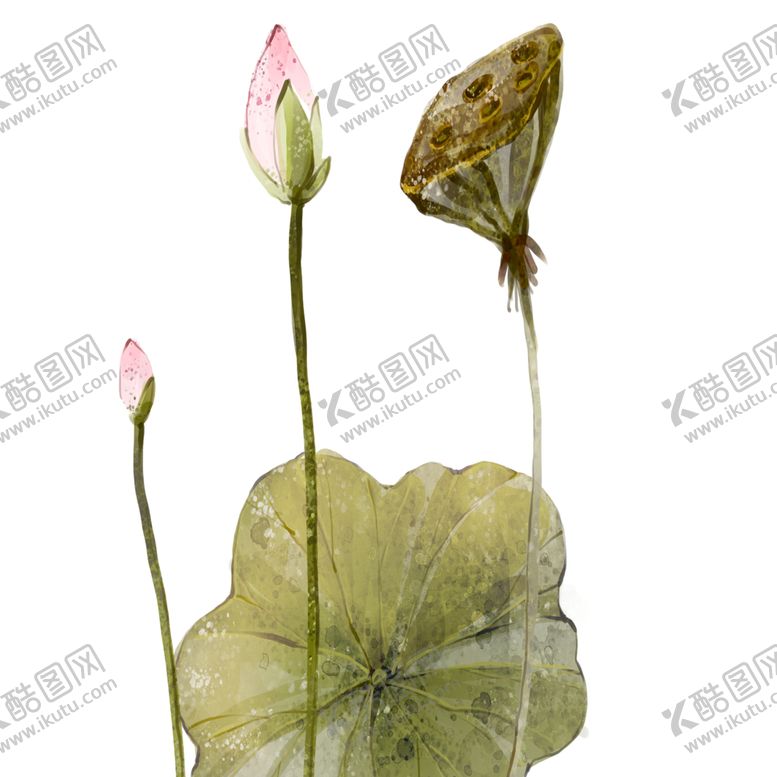 编号：13906109231910085929【酷图网】源文件下载-工笔花鸟背景墙装饰画