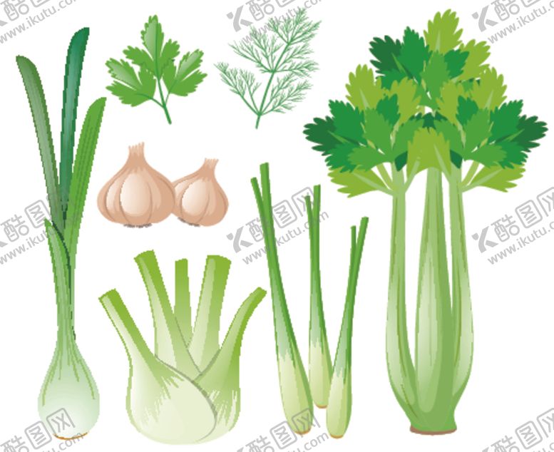 编号：91616309292024414079【酷图网】源文件下载-疏菜