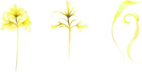 花素材鲜朵小清新朵朵底纹