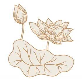 荷花莲底纹莲素材莲logo