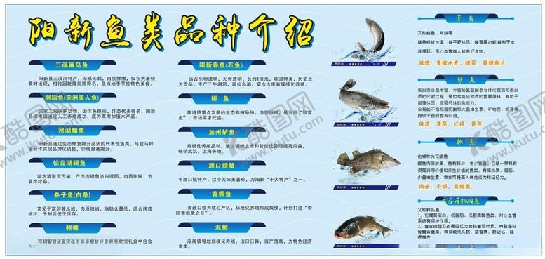 编号：91172204101244458330【酷图网】源文件下载-鱼类品种展示
