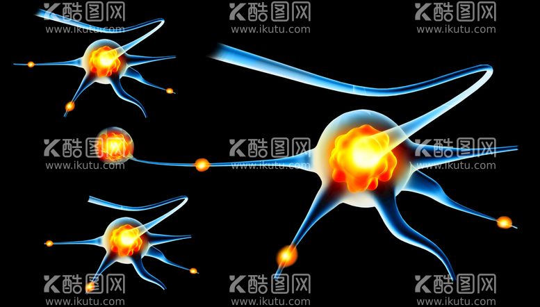 编号：82106909150147480273【酷图网】源文件下载-神经元医生大脑