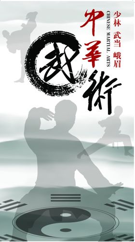 武术海报