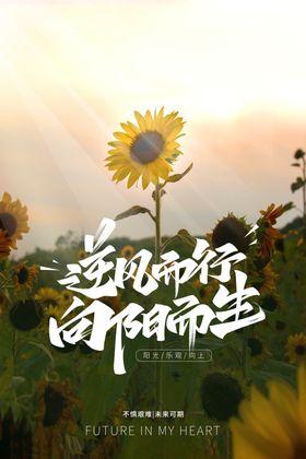 励志海报日签图创新精神青春标语