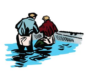 卡通渔民捕鱼插画色彩图