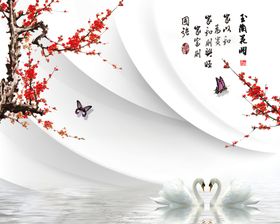 玉兰花开 