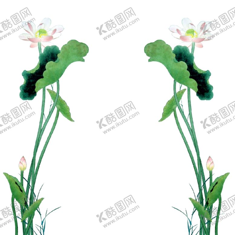编号：48535801190113061381【酷图网】源文件下载-荷花素材