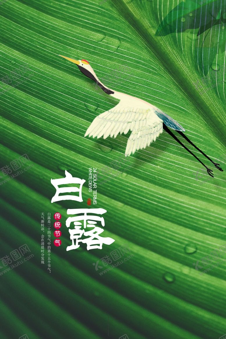 编号：97293409190703546705【酷图网】源文件下载-白鹭背景海报模板