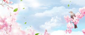 手绘桃花插画海报图片鲜展板植物梅