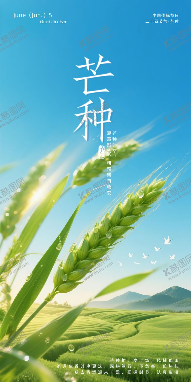 编号：76045805240209592078【酷图网】源文件下载-芒种海报