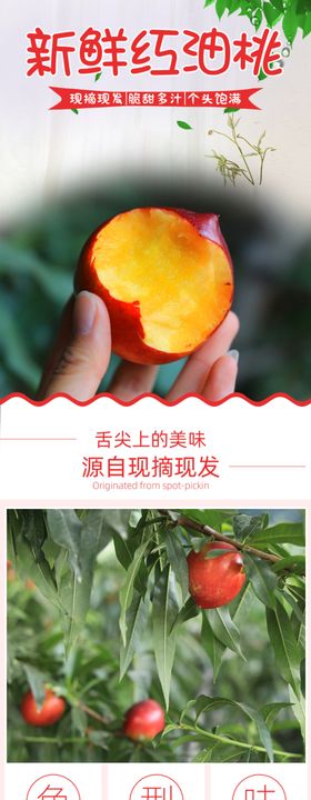 清新简约水果美味脐橙电商详情页