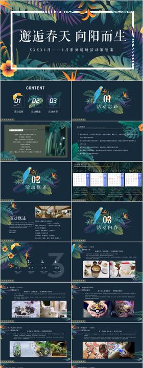 地产春季季度主题活动方案PPT