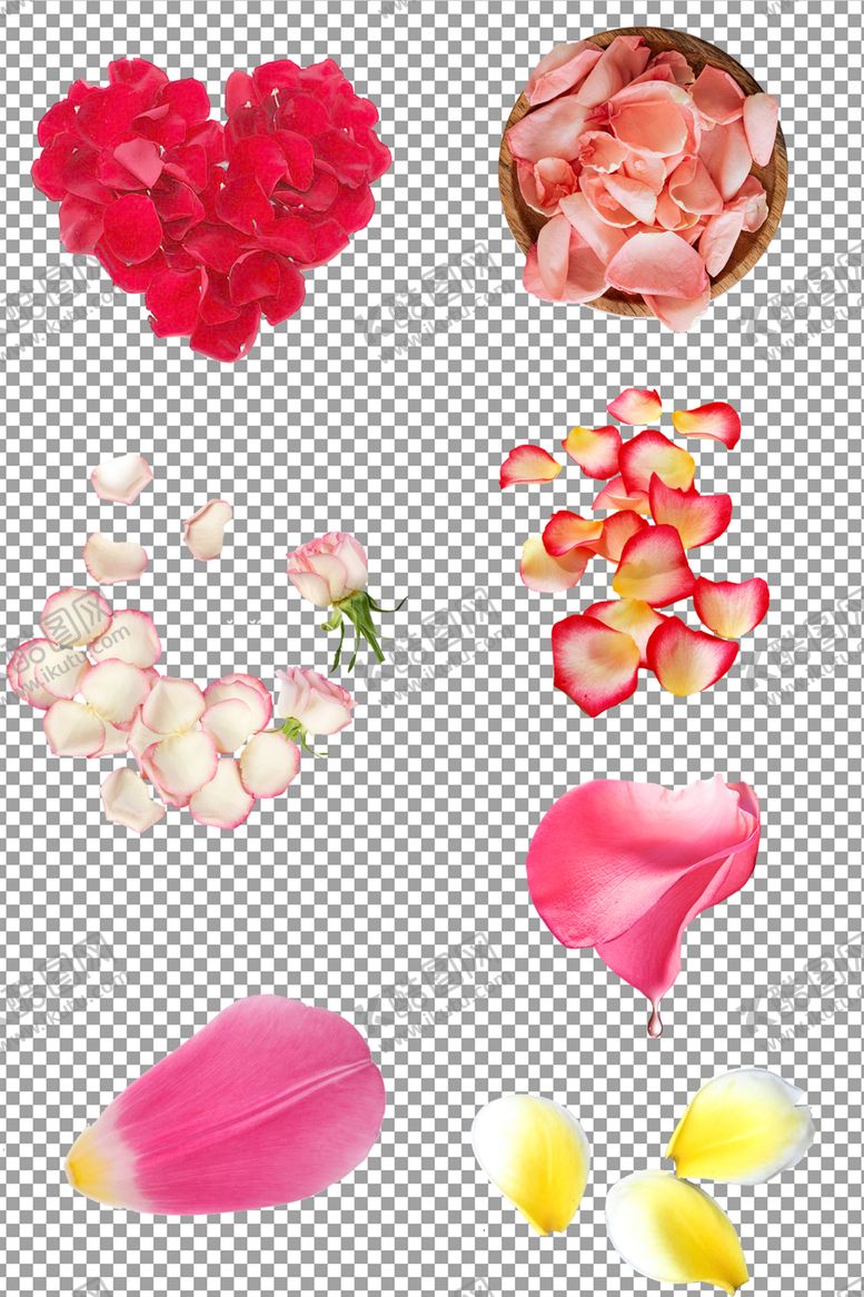 编号：56312609170317031061【酷图网】源文件下载-精美玫瑰花瓣