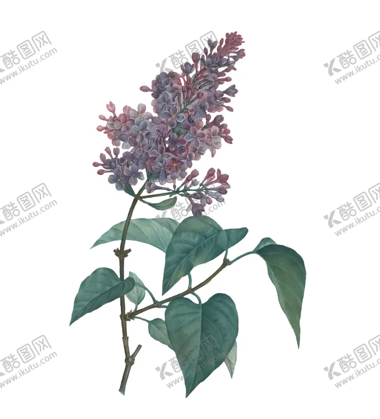 编号：45079503152029418471【酷图网】源文件下载-插画花朵