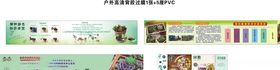 多肉植物养殖方法和好处