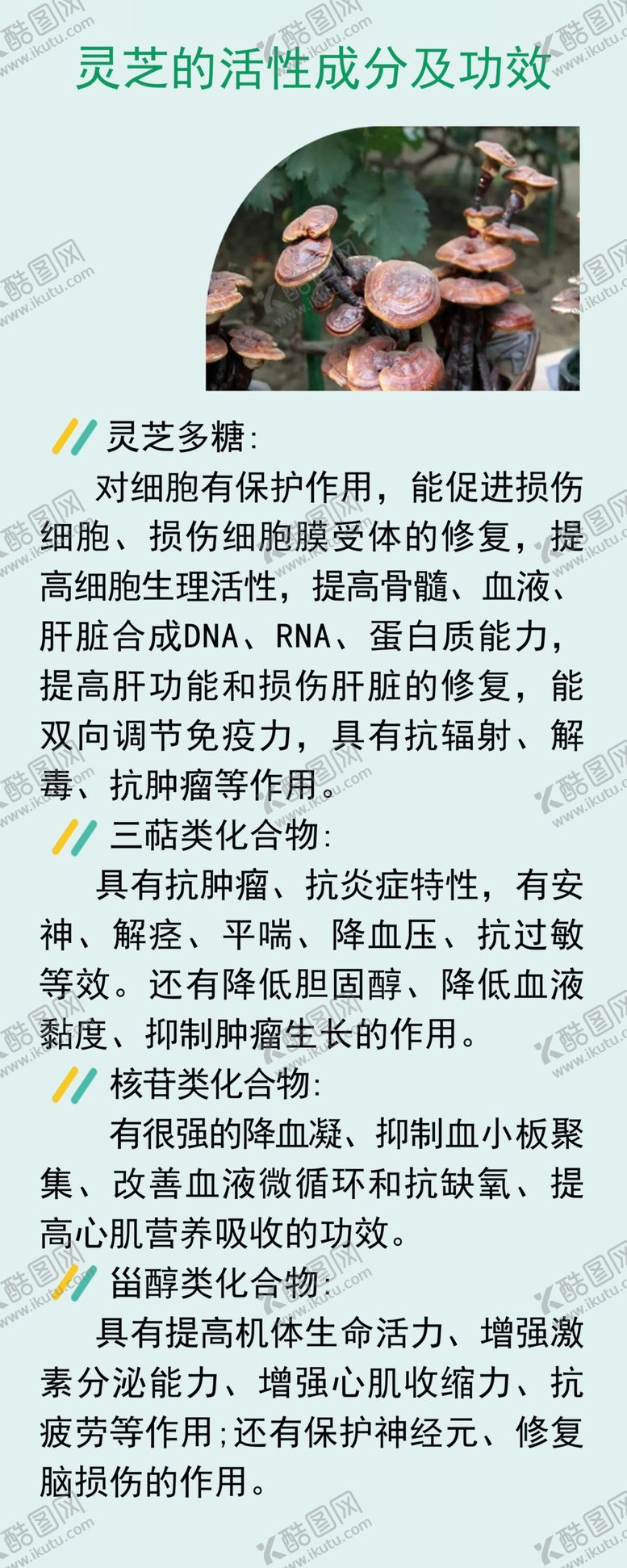 编号：43618712081100273739【酷图网】源文件下载-灵芝的功效