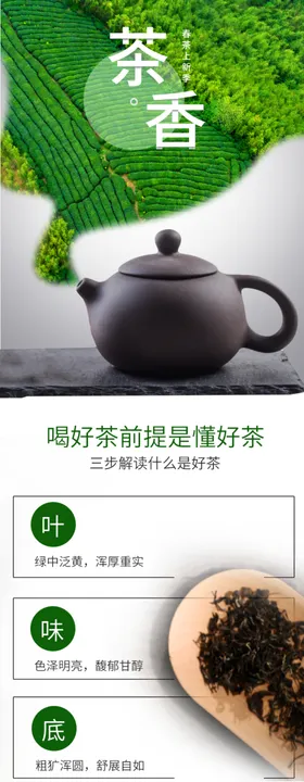 茶叶详情页绿茶绿色素材面背景淘宝天猫模板