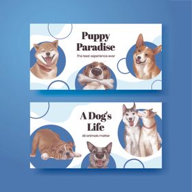 宠物主题卡片设计