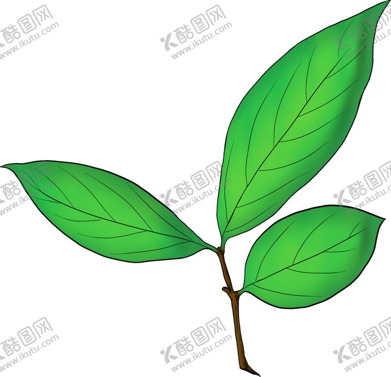 编号：13910405062115558965【酷图网】源文件下载-手绘小清新绿叶