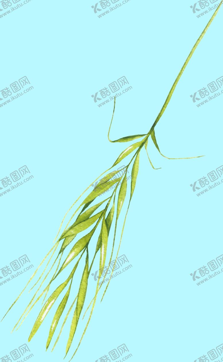 编号：14194506250533253183【酷图网】源文件下载-花卉树叶