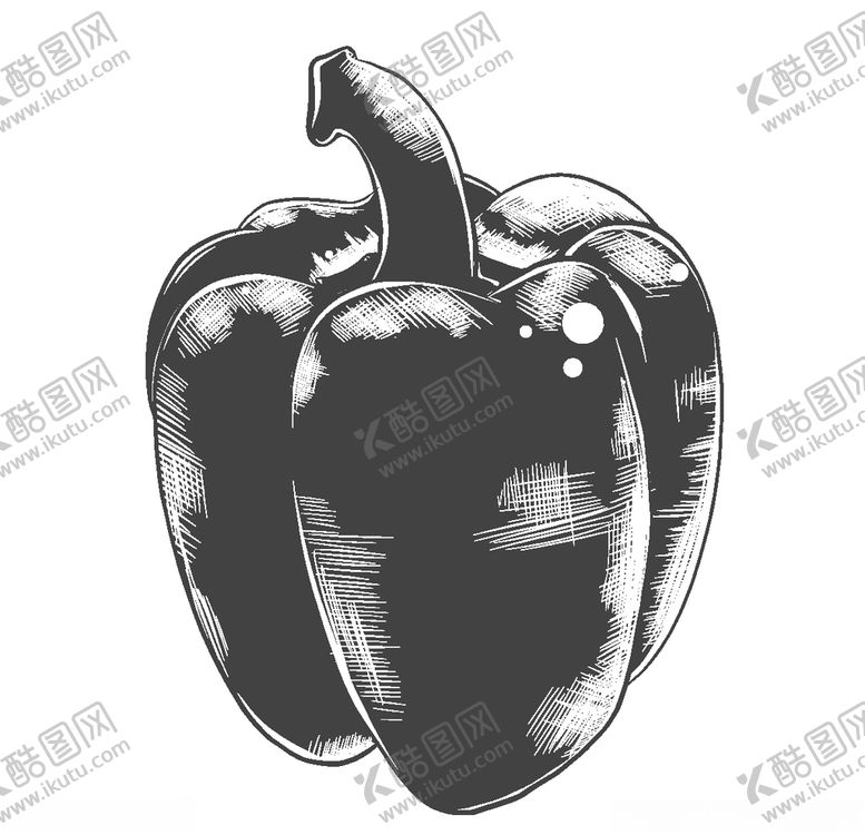 编号：94803010200901004454【酷图网】源文件下载-手绘蔬菜插画