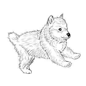 小狗手绘插画