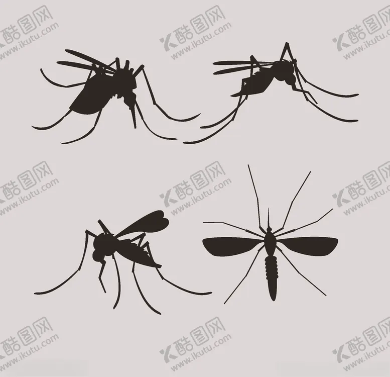 编号：76717207062026125824【酷图网】源文件下载-蚊子剪影